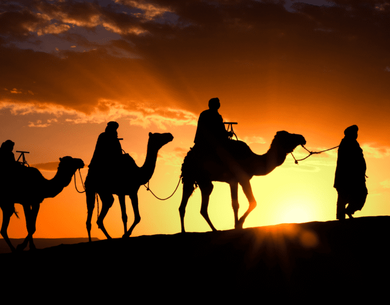 Sahara travel excursions company